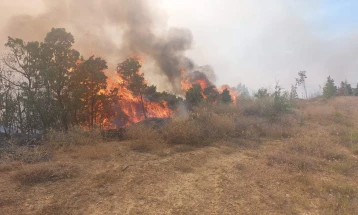 Në rajonin e Shtipit në malin Sertë zjarret po shuhen nga toka