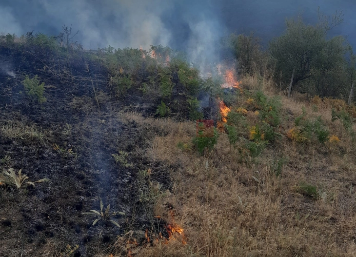 Zgjerohet zjarri në Ograzhden, po shuhet me dy helikoptera