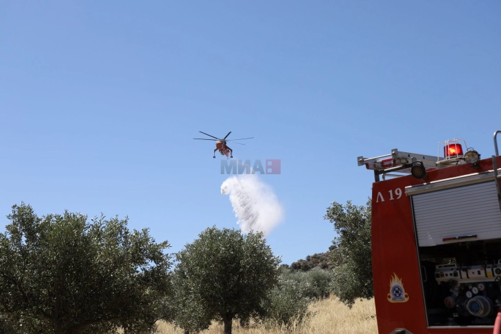 Zjarr i madh në gadishullin Peloponez grek, lëndohen lehtë tre zjarrfikës