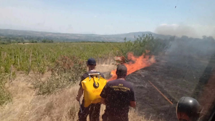 Активни пожарите кај Калањево и Сирково 
