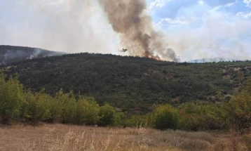 Активен пожарот кај росоманското село Крушевица