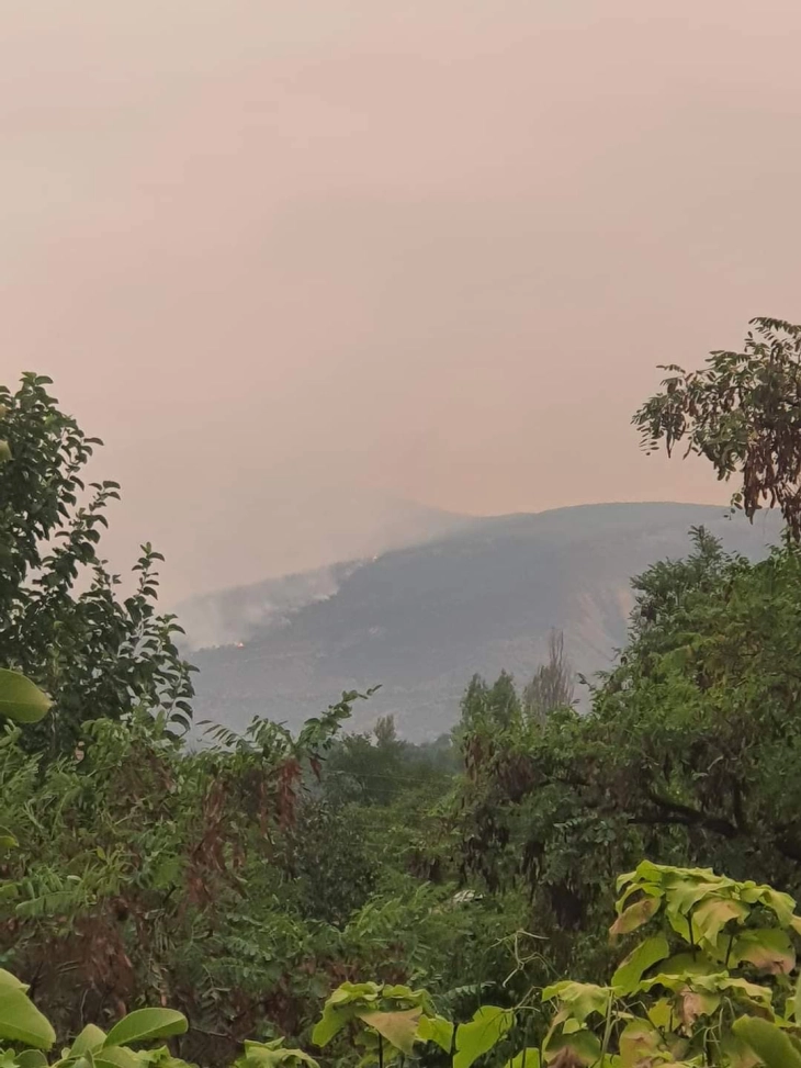 Пожарот во Неготинско го зафати и ридот со ендемично лале