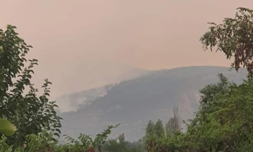 Пожарот во Неготинско го зафати и ридот со ендемично лале