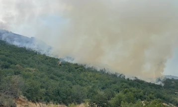 Чад во Штип по пожарот што избувна во Селца, Драгоево и Пиперово