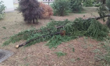 Населби без струја, паднати дрвја, поплавени улици последица од краткото невреме во Скопје