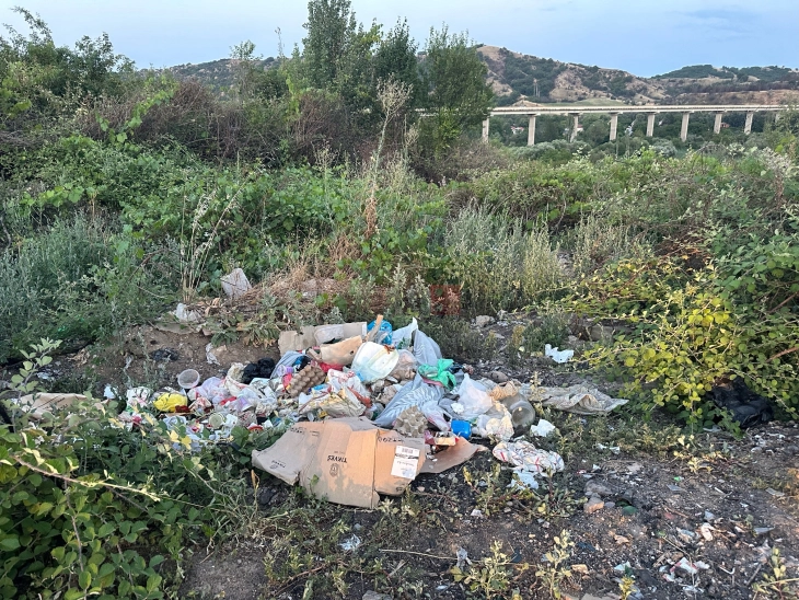Дивите депонии и натаму проблем во Велес, на ниво на држава има над илјада