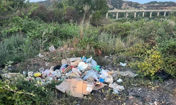 Дивите депонии и натаму проблем во Велес, на ниво на држава има над илјада