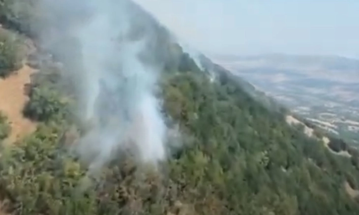 Полицискиот хеликоптер фрли над 39 тони вода врз пожарот на планината Серта
