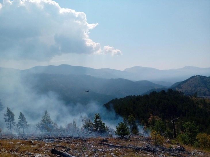 Пожар зафати борова шума кај Македонски Брод во атарот на село Тажево