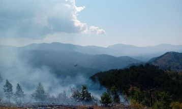 Пожар зафати борова шума кај Македонски Брод во атарот на село Тажево