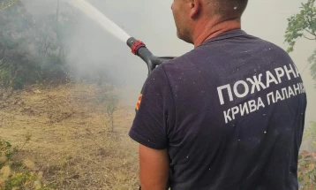 Кривопаланечките пожарникари помагаа во гасење пожар во Велес