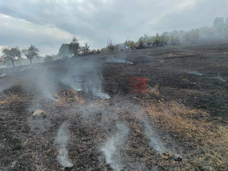 Ангелов: Од вкупно 30 пожари вчера, се уште се активни девет пожари