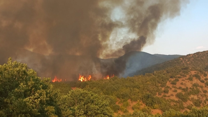 Dozens of firefighters, troops, special police trying to contain raging Serta mountain fire