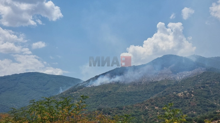 Во штипскиот дел на Серта сите сили насочени на гаснење на пожарот меѓу селата Селце и Пухче