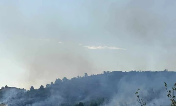 Локализиран пожарот во општина Старо Нагоричане