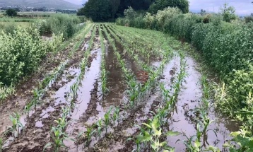 Штетите во земјоделството од минатогодишното невреме во Кочанско проценети на 10,3 милиони денари