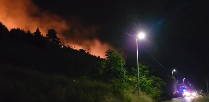 Локализиран пожарот над Подгорица