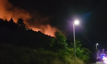 Локализиран пожарот над Подгорица