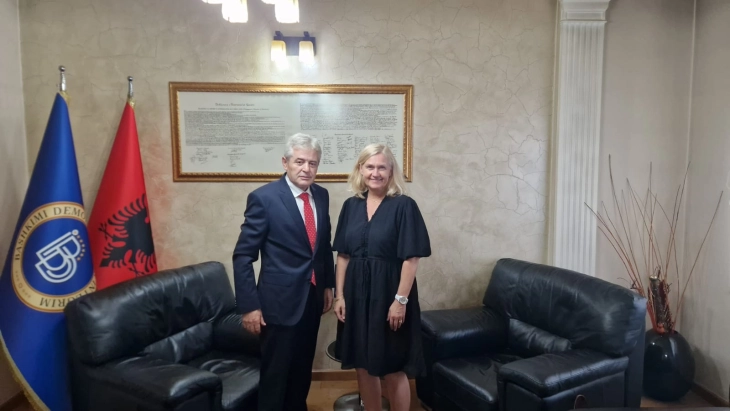 Kryetari i BDI-së Ali Ahmeti, u takua me ambasadoren e Norvegjisë në Maqedoninë e Veriut, Kristin Melsom