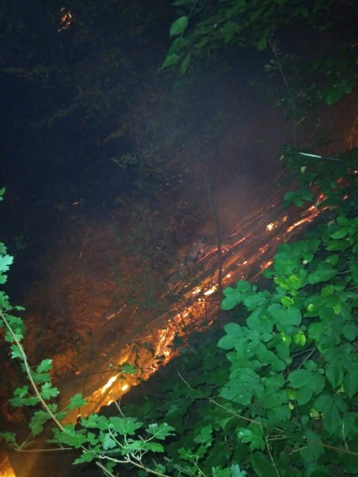 Локализиран пожар во беровско Безгашчево