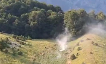 Во заедничка акција на албанската и црногорската полиција уништени над 11 илјади стебла мархуана