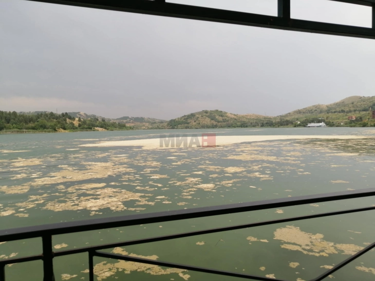 Водата во велешкото езеро „Младост“ е со лош квалитет со колиформни бактерии и индикатори на фекално загадување, ризична по здравјето на капачите