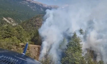 Полициските хеликоптери исфрлија над 120 тони вода врз пожарите кај Тажево и  „Јасен“