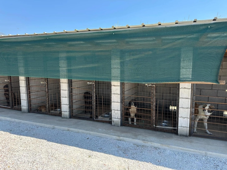 Në Tetovë filloi të funksionojë strehimorja për qentë endacakë