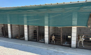 Në Tetovë filloi të funksionojë strehimorja për qentë endacakë