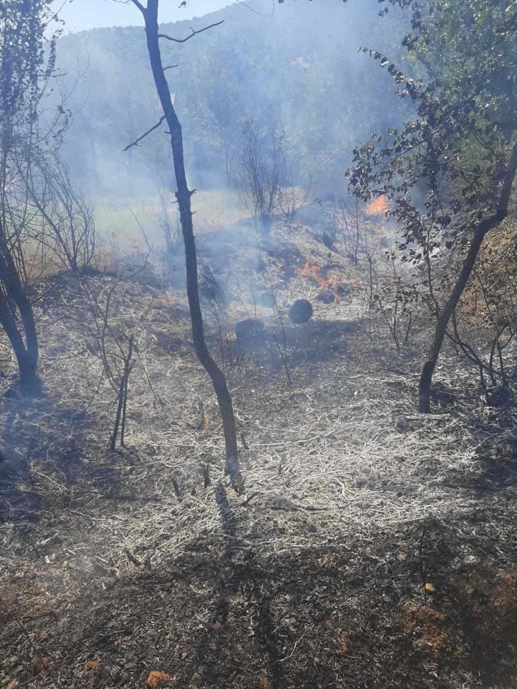 Локализиран пожарот  во Руѓинце, општина Старо Нагоричане