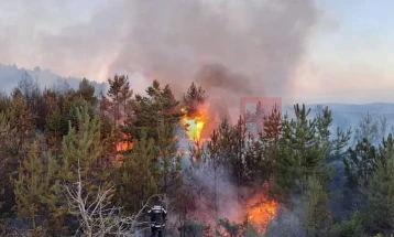 Изгаснат пожарот над пехчевското село Негрево