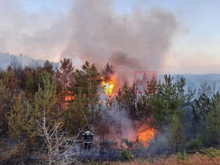 Shuhet zjarri mbi fshatin  Negrevë të Pehçevës