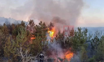 Shuhet zjarri mbi fshatin  Negrevë të Pehçevës