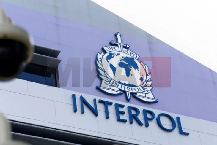 Në operacionin e Interpolit janë sekuestruar mbi 615 tonë drogë dhe kimikate në 31 vende