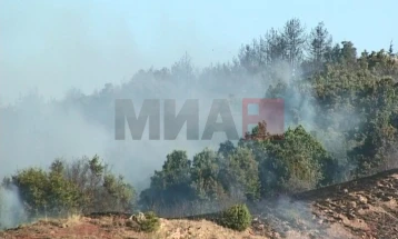 Zjarri në fshatin Gllavovicë të Koçanit është ende aktiv, janë shkatërruar 100 hektarë pyje