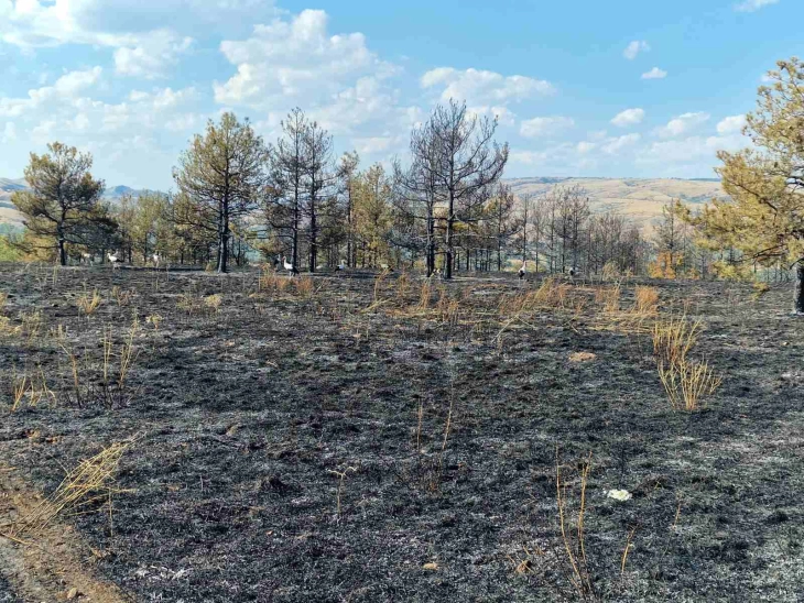 Ditë me zjarre rekorde - 54, sonte aktive 19, të rrezikuara disa fshatra