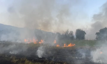 Дванаесет активни пожари, Ангелов со апел до граѓаните да не учествуваат во гаснењето, освен доколку не бидат прифатени од локалните командири