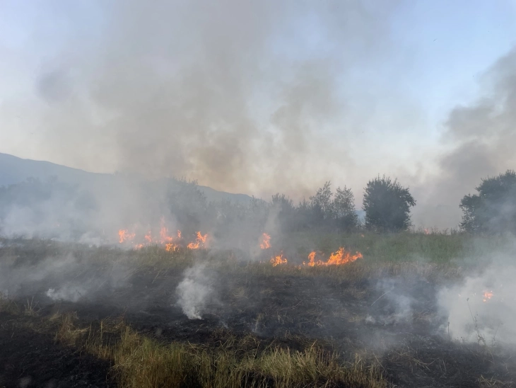 Twelve wildfires still burning, Angelov urges locals not to get in the way of professional firefighters