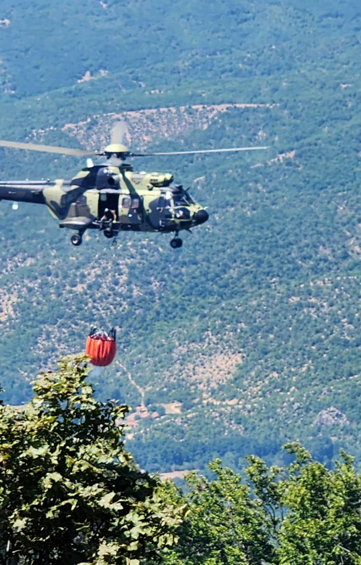 Dy helikopterë nga Serbia dhe 54 zjarrfikës janë angazhuar në shuarjen e zjarreve afër Prohor Pçinskit dhe Sveti Nikollës