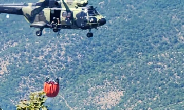 Dy helikopterë nga Serbia dhe 54 zjarrfikës janë angazhuar në shuarjen e zjarreve afër Prohor Pçinskit dhe Sveti Nikollës