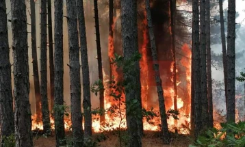 MBPEU bën thirrje për kujdes për parandalimin e zjarreve në ambient të hapur