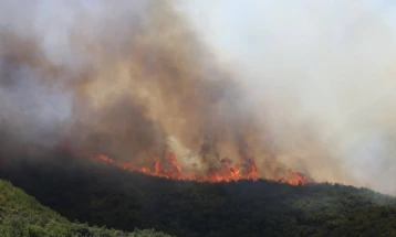 Angelov: 20 wildfires registered Thursday, 10 still active 