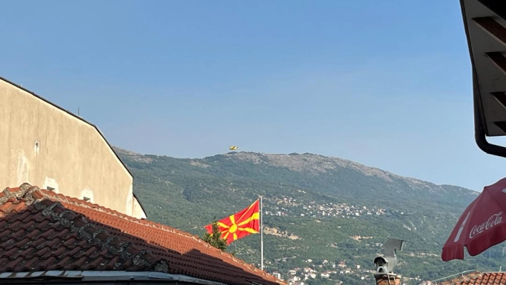 Шумски пожар над охридските села Куратица и Опеница, на терен дејствуваат три ер-трактори