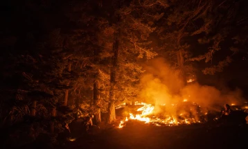 Пожарот во Калифорнија прерасна во четврти најголем во историјата на оваа сојузна држава