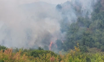 Në Makedonski Brod ka shpërthyer zjarr i ri, do të veprojnë helikopterë