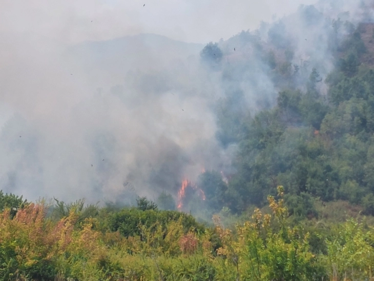 New wildfire in Makedonski Brod, two helicopters to help fight it