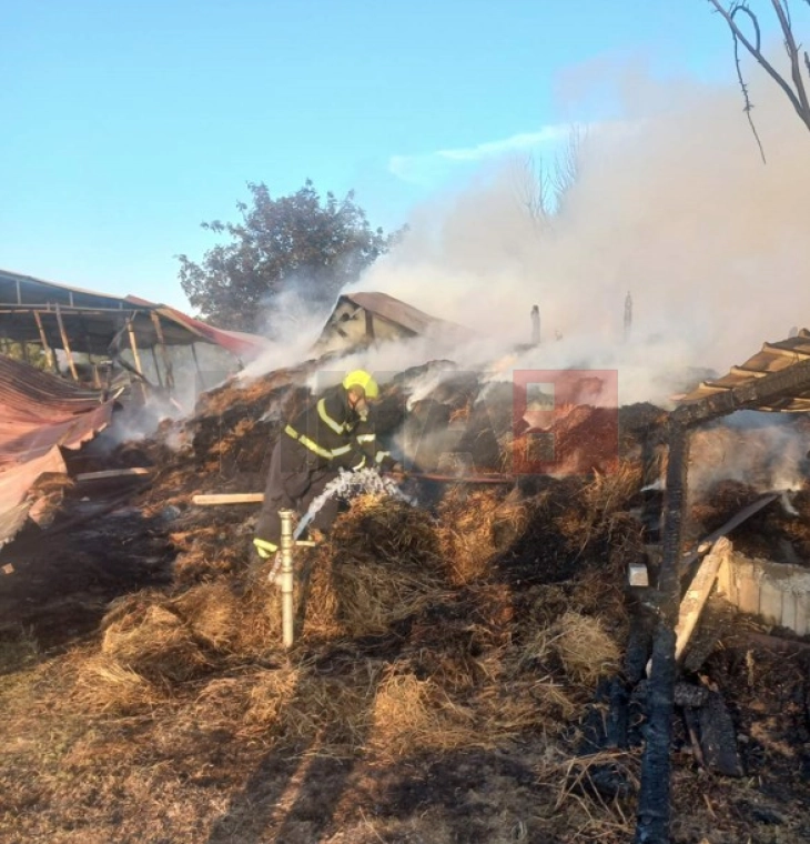 Во пожар изгоре штала од коњички клуб во Неготино, коњите се спасени 
