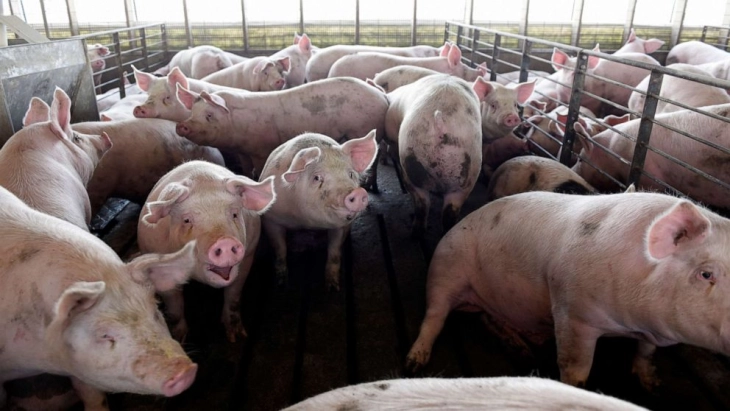 Новите правила на ЕУ за емисии на штетни гасови засегаат поголем број сточарски фарми 