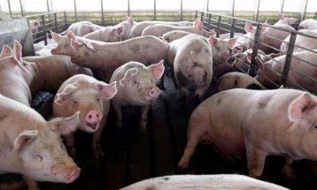 Новите правила на ЕУ за емисии на штетни гасови засегаат поголем број сточарски фарми 