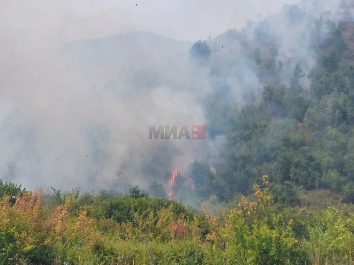 Активен пожарот кај Брезница во Македонски Брод